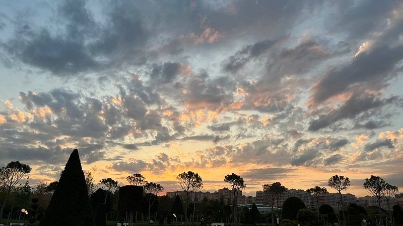 До +12 градусов потеплеет днем 30 января в Краснодаре