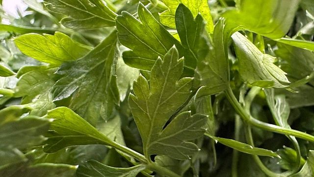 Фото: телеканал «Краснодар»