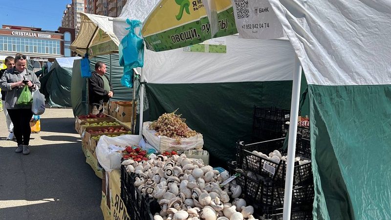 Продукты подорожали на 15% за год на Кубани
