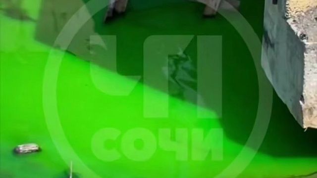 Фото: t.me/chp_sochi