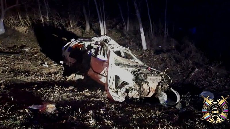 Автоледи превысила скорость и погибла в Северском районе 