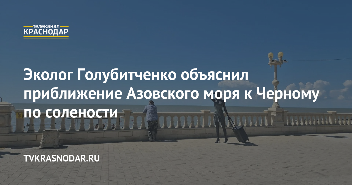 Эколог Голубитченко объяснил приближение Азовского моря к Черному по солености