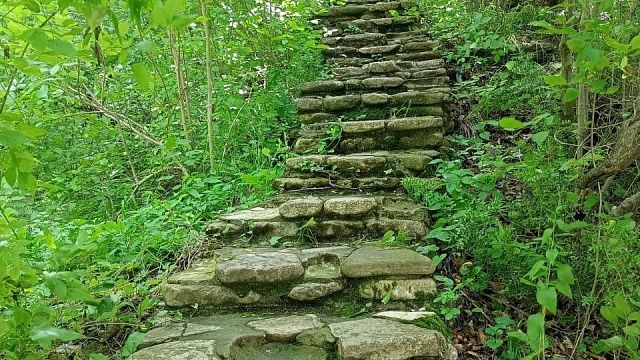 Фото: телеканал «Краснодар»