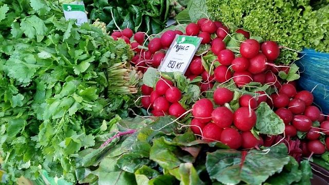 Фото: телеканал «Краснодар»