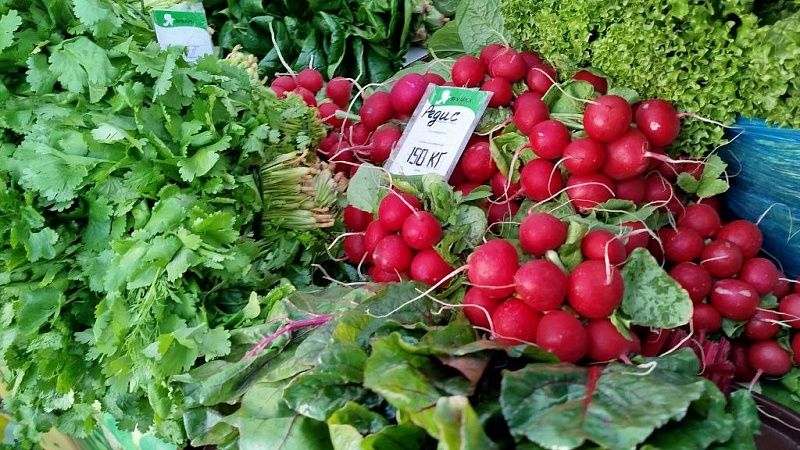 Десять объектов торговли Кубани признаны лучшими в России
