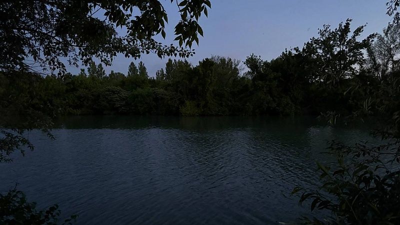 Детали смерти найденного в Енисее экс-главы зоопарка установят в Красноярске