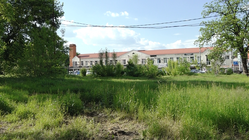 Много зелени и спортплощадка с воркаутом: как планируют благоустроить зеленую зону на ул. Зиповской