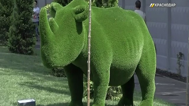 Зеленые слоны, медведи и жирафы украсили новый бульвар «Бородинский» в Краснодаре