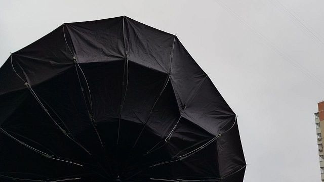 Фото: телеканал «Краснодар»