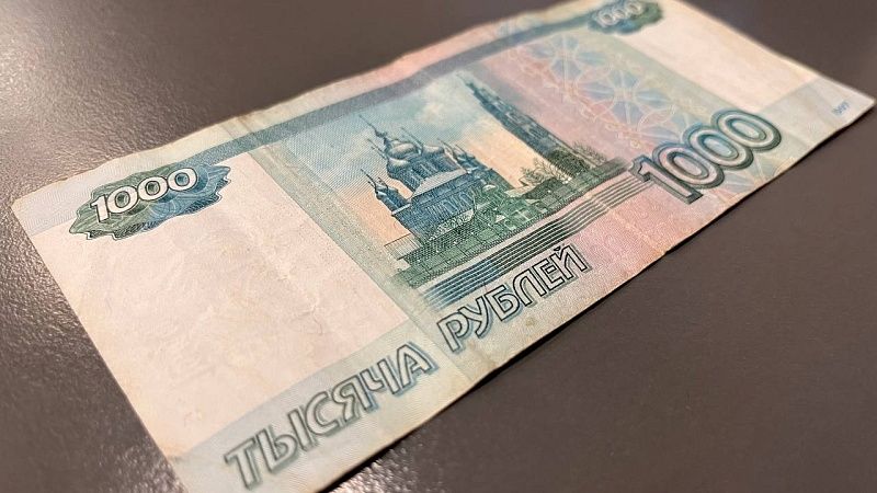 Блогер Митрошина до задержания в аэропорту Сочи осудила неуплату налогов