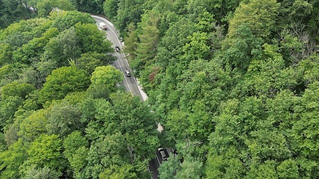 Пропавшего дальнобойщика из Чебоксар нашли мертвым в лесу под Челябинском