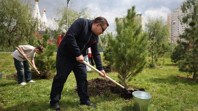 Кедр в честь погибшего корреспондента Никиты Цицаги высадили в Москве