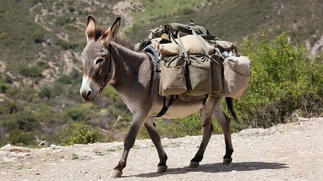 Изображение создано при помощи ИИ.
