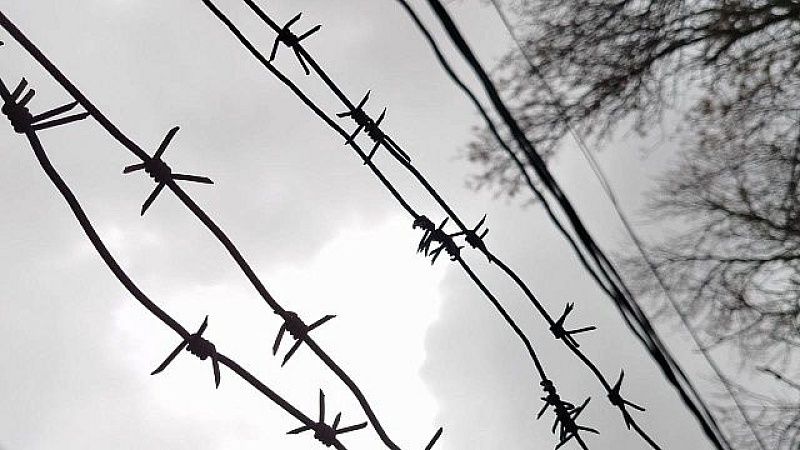 Сокарменики устроили самосуд над убийцей двухлетней девочки в Британии 