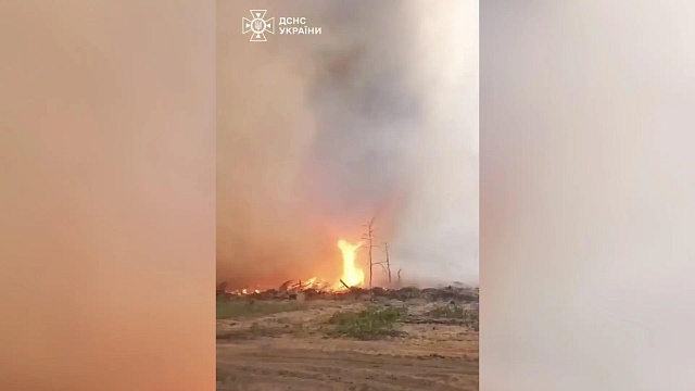 Огненный смерч сняли на видео в Чернобыльской зоне отчуждения 