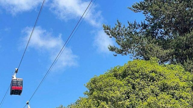 Канатную дорогу закроют на месяц с 25 июня в Дендрарии Сочи