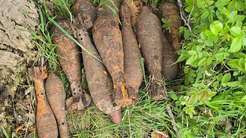 Свыше 40 боеприпасов времен ВОВ уничтожили в Крымском районе