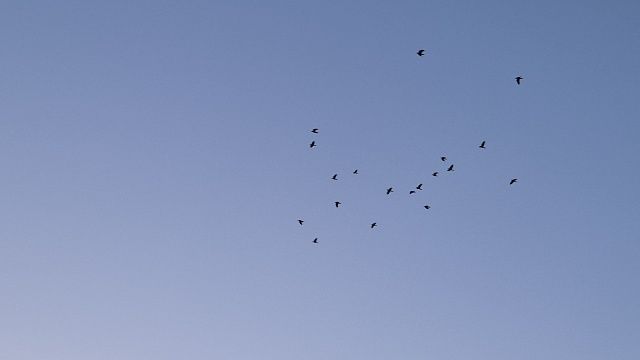 Порядка 10 взрывов в небе услышали жители Кстово Нижегородской области