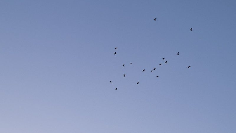 Порядка 10 взрывов в небе услышали жители Кстово Нижегородской области