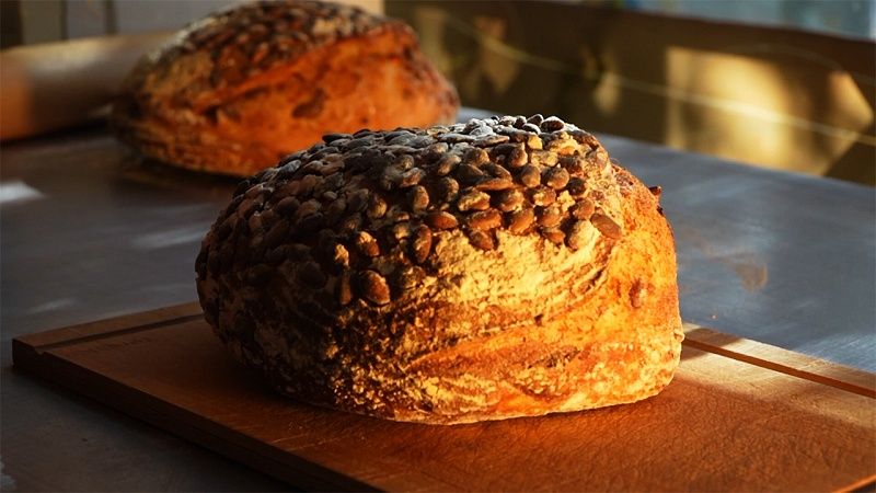 Неделя в Краснодаре 18.10.25: Кубанская моцарелла, Современный транспорт, День хлеба