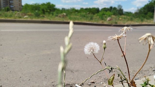Фото: телеканал «Краснодар»