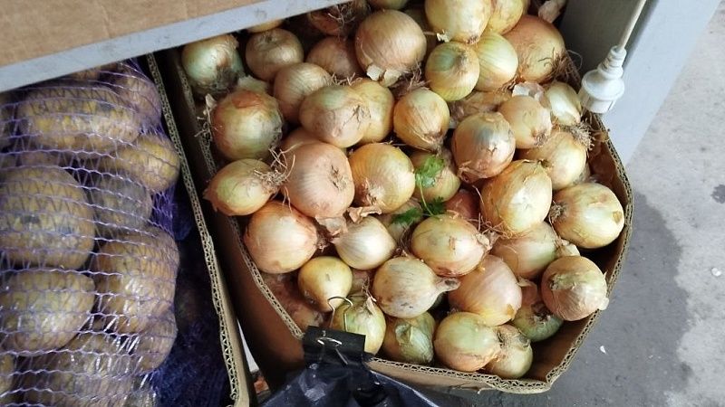 Россиян могут оштрафовать на 500 рублей за обдирание лука в магазине 