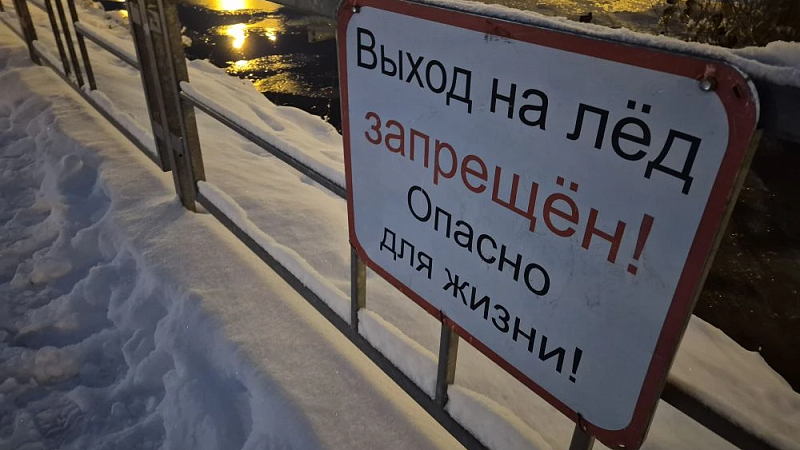 Появились подробности гибели на ватрушке двух школьников в Брянске