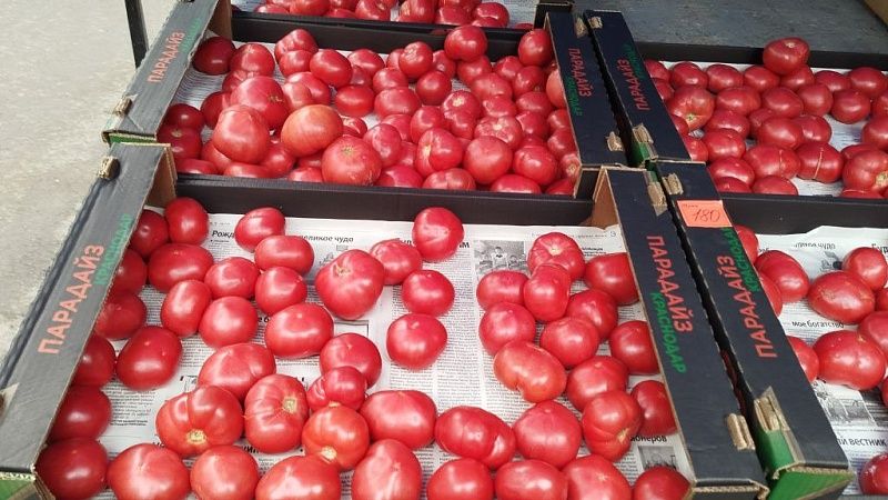 Азербайджанца застрелили за отказ снизить цену на помидоры на Украине