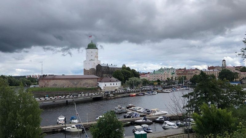 Многодетная финка рассказала о плюсах жизни в России