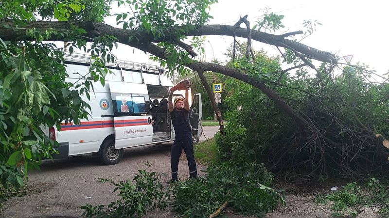 На 83 вызова за неделю выехали спасатели Краснодара