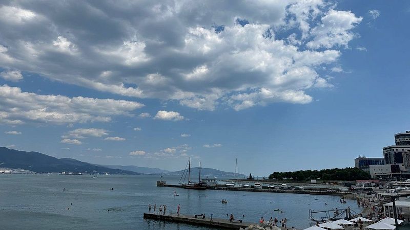 В муниципальную собственность вернули 178 тысяч квадратов земли в Новороссийске