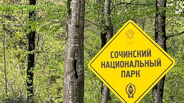 Фото: телеканал «Краснодар»