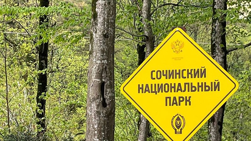 Охотившихся на уток двух браконьеров задержали в нацпарке Сочи