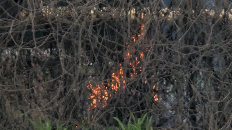 Появилось видео падения самолета на жилой дом в Бразилии