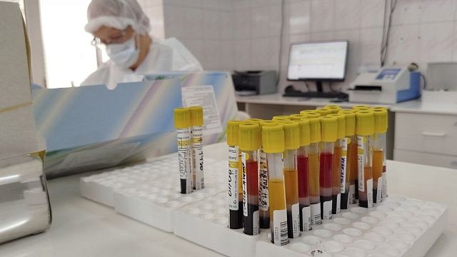 Социальная акция по сдаче крови для участников СВО стартовала в Краснодаре