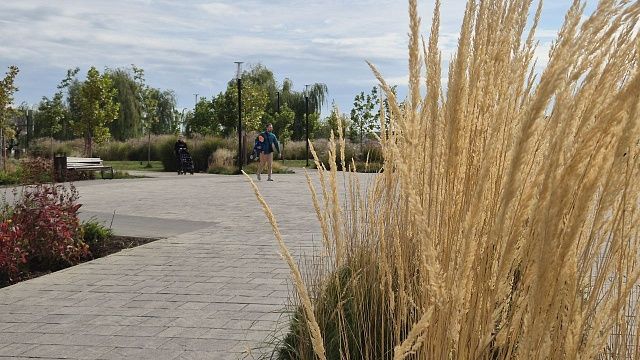 Фото: телеканал «Краснодар»