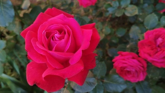 Фото: телеканал «Краснодар»