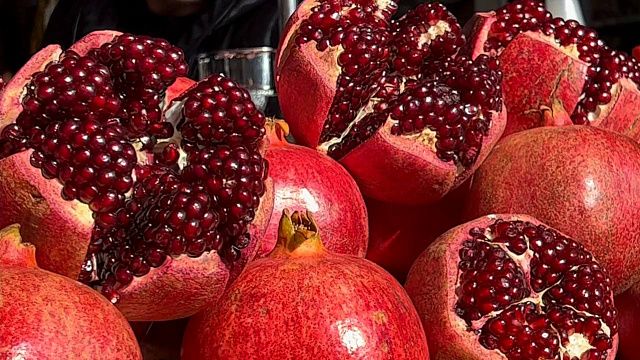 В январе из-за границы в Новороссийск привезли больше 1 тысячи тонн зараженных фруктов Фото: телеканал "Краснодар"