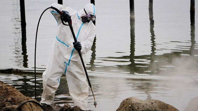 Пескоструйный аппарат и торфяной сорбент используют для очистки камней в Анапе