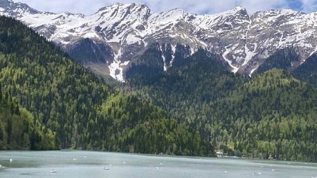 Фото: телеканал «Краснодар»