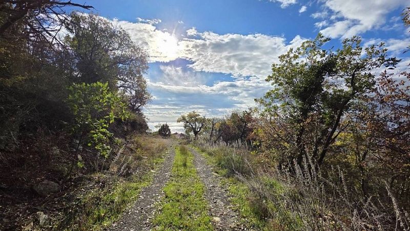 Туристический маршрут по склону горы Амзай создадут в Новороссийске
