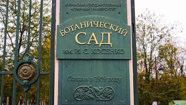 Фото: МЦУ Краснодар