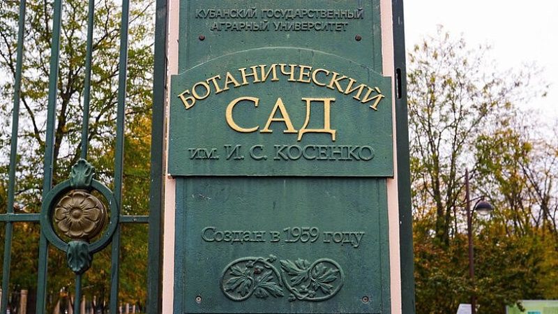 Из-за сильного снегопада закрыли для посетителей дендрарий в Краснодаре