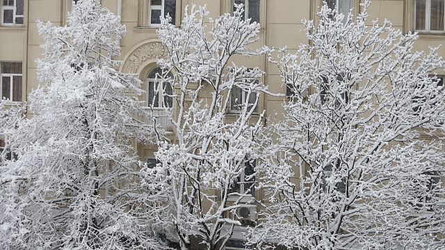 «Завалило»: в январе в Краснодаре выпало снега на 35% больше нормы