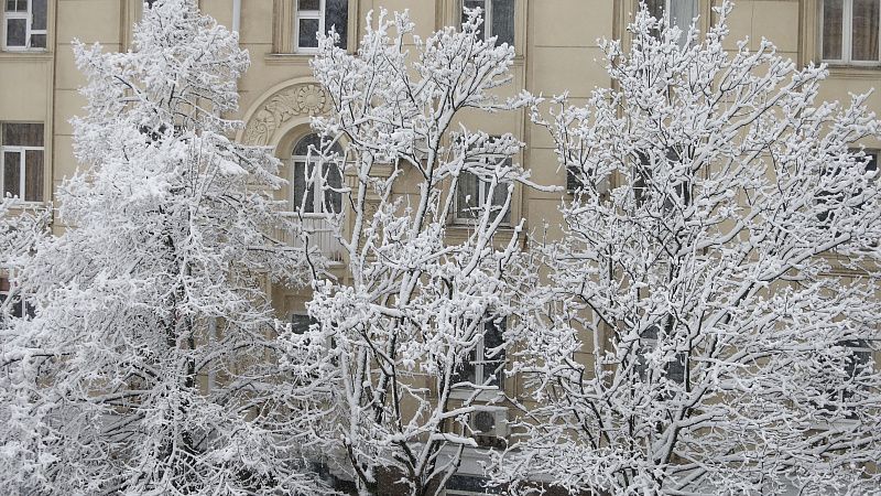 «Завалило»: в январе в Краснодаре выпало снега на 35% больше нормы