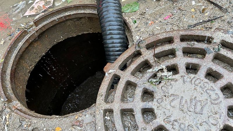 Текущую в озеро Сенеж фекальную реку сняли на видео под Солнечногорском