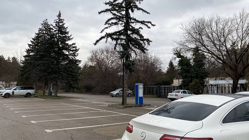 Таксиста-нарушителя наказали зловонным мусором и кое-чем неожиданным в Москве