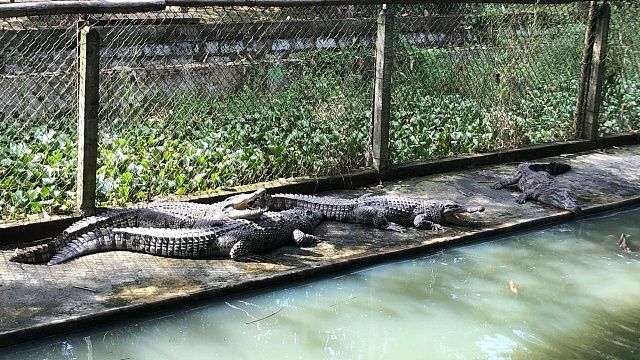 Фото: телеканал «Краснодар»