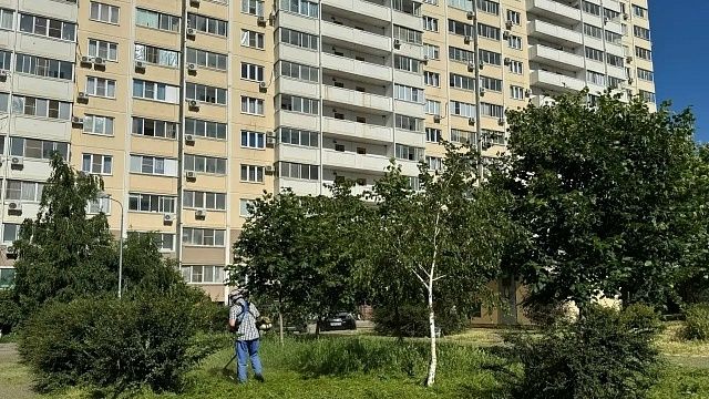 Евгений Наумов рассказал об интенсивной борьбе с сорняками в Краснодаре 