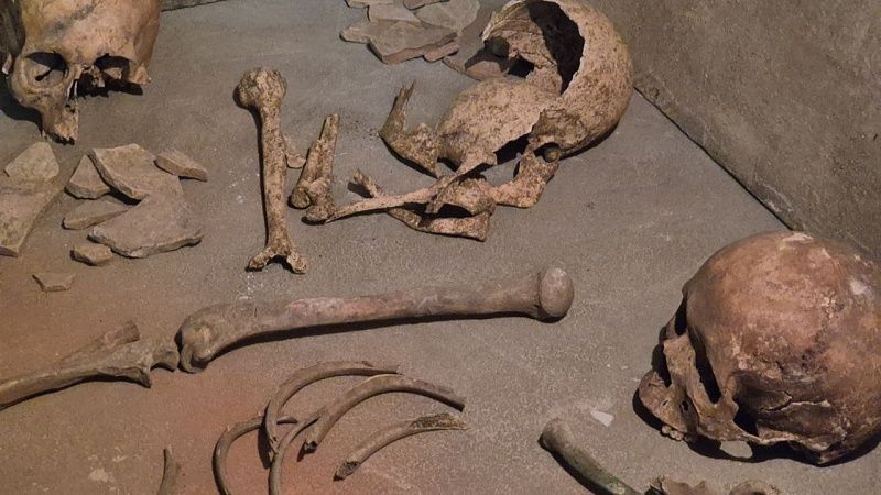 Кремированные останки 300 человек нашли в пустыне Невады в США